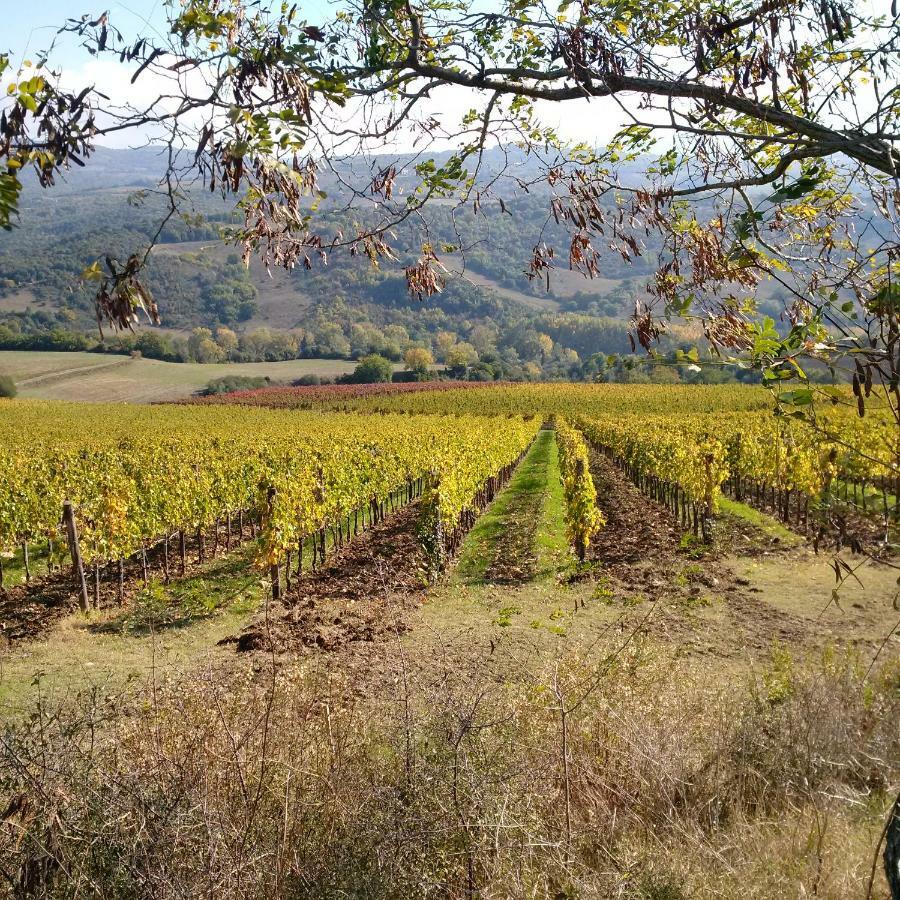 Agriturismo Podere Del Vescovo Montenero d'Orcia Kültér fotó